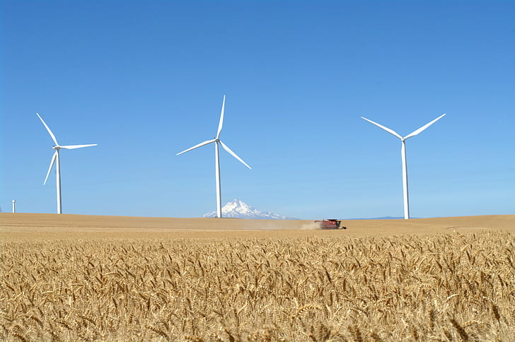 3つの風車、ブラウンフィールド、タービン、山フード、風車、ブラウンフィールド、風力タービン、ビッグローキャニオンウィンドファーム、小麦、マウントフッド、タービン、テクノロジー、風力タービン、環境、電気、燃料、発電、エネルギー、風、自然、産業、発電機、電力、回転、環境保全、電源、代替エネルギー、空、リサイクル、風力、イノベーション、農場、青、 HDデスクトップの壁紙