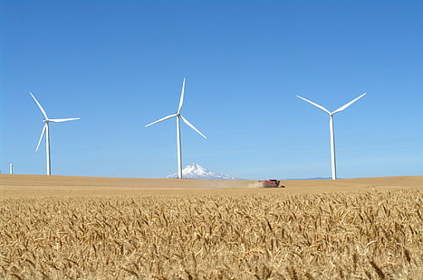 3つの風車、ブラウンフィールド、タービン、山フード、風車、ブラウンフィールド、風力タービン、ビッグローキャニオンウィンドファーム、小麦、マウントフッド、タービン、テクノロジー、風力タービン、環境、電気、燃料、発電、エネルギー、風、自然、産業、発電機、電力、回転、環境保全、電源、代替エネルギー、空、リサイクル、風力、イノベーション、農場、青、 HDデスクトップの壁紙 HD wallpaper