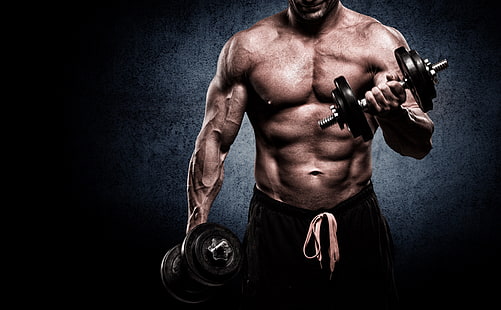 اثنين من الدمبل السوداء ، العضلات ، الرجل ، صالة الألعاب الرياضية ، كمال الأجسام ، الحديد، خلفية HD HD wallpaper
