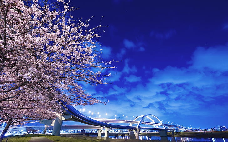 kota, lanskap kota, jembatan, sakura, langit, Wallpaper HD