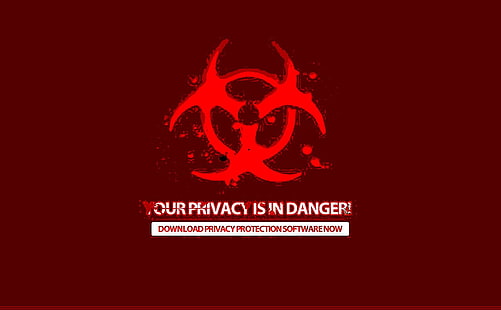 computer, danger, hacker, hacking, internet, sadic, virus, HD wallpaper HD wallpaper