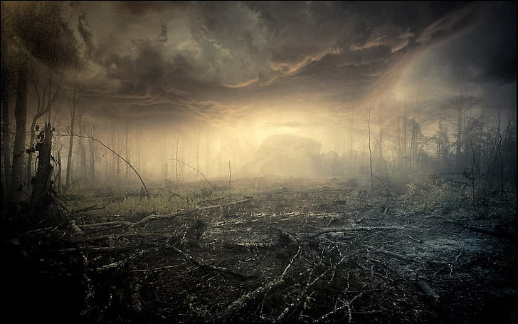 бунт гора илюстрация, мъгла, природа, пейзаж, облаци, мъртви дървета, огън, изгаряне, гора, призрачен, HD тапет
