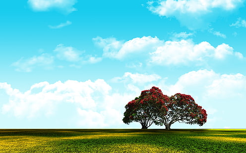 أدوبي فوتوشوب ، مناظر طبيعية ، طبيعة ، سماء، خلفية HD HD wallpaper