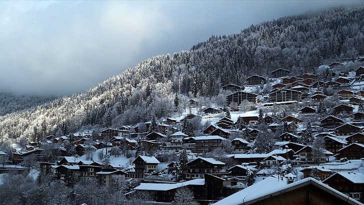 landscape, winter, snow, forest, building, town, HD wallpaper
