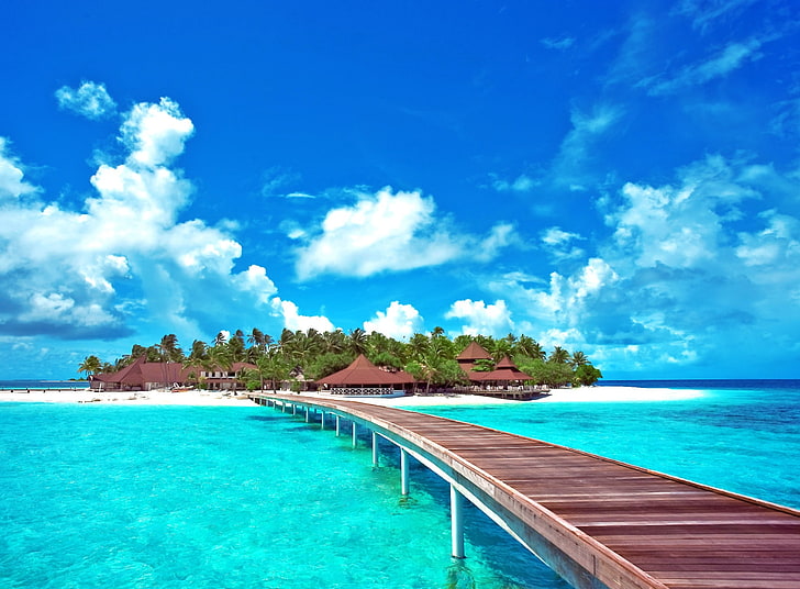 Island Paradise, brązowy drewniany dok, podróż, wyspy, ocean, egzotyczny, raj, krajobraz, lato, sen, woda, tropikalny, piasek, lato, luksus, palmy, wakacje, Tapety HD