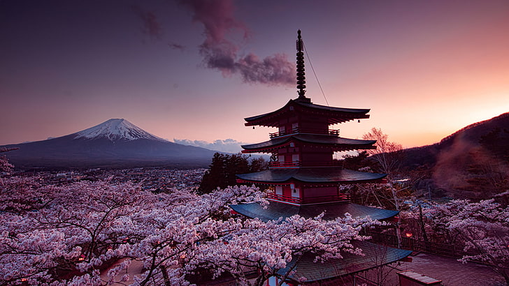 Mount Fuji, Japan, brown and white pagoda, Mount Fuji, Japan, cherry blossom, pink, sky, Asian architecture, trees, snowy peak, clouds, sunset, HD wallpaper