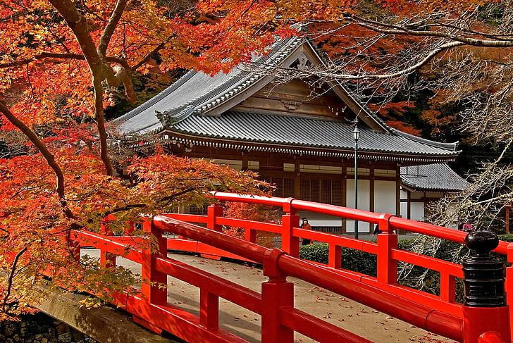 сива и бяла дървена къща, път, есен, листа, дървета, мост, Япония, храм, клен, HD тапет