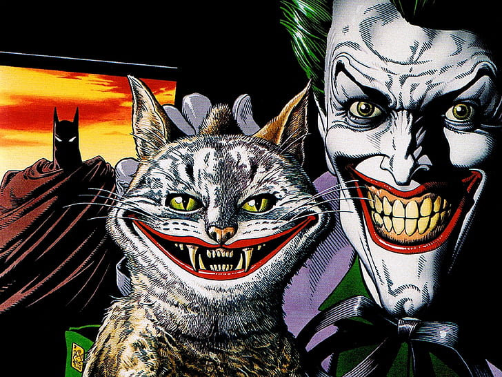 Joker Cat Batman HD, kartun / komik, kucing, batman, joker, Wallpaper HD