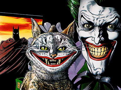 Joker Cat Batman HD, desenho animado / história em quadrinhos, gato, batman, coringa, HD papel de parede HD wallpaper
