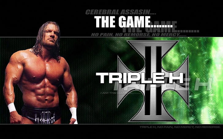 черно-зеленый контроллер Guitar Hero, WWE, Triple H, HD обои