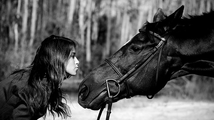 caballo, mujeres, Fondo de pantalla HD