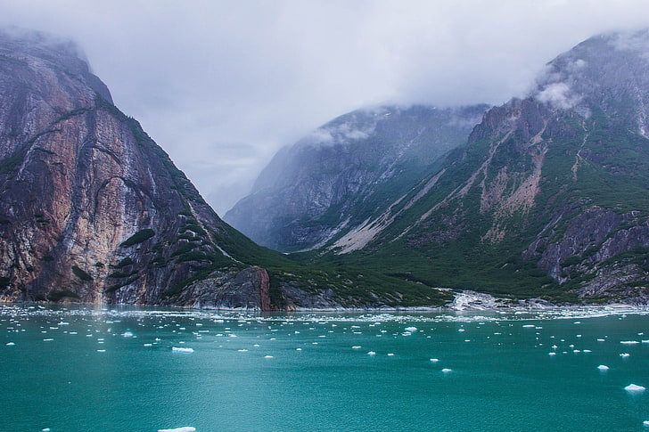 lukisan pohon hijau dan hitam, alam, fotografi, pemandangan, pegunungan, lembah, fjord, awan, es, Alaska, Wallpaper HD
