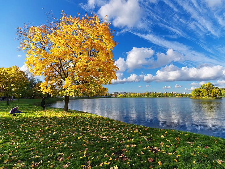 autumn autumn tree Calm water Nature Lakes HD Art , nature, autumn, lake, Calm, REFLECTION, autumn tree, HD wallpaper