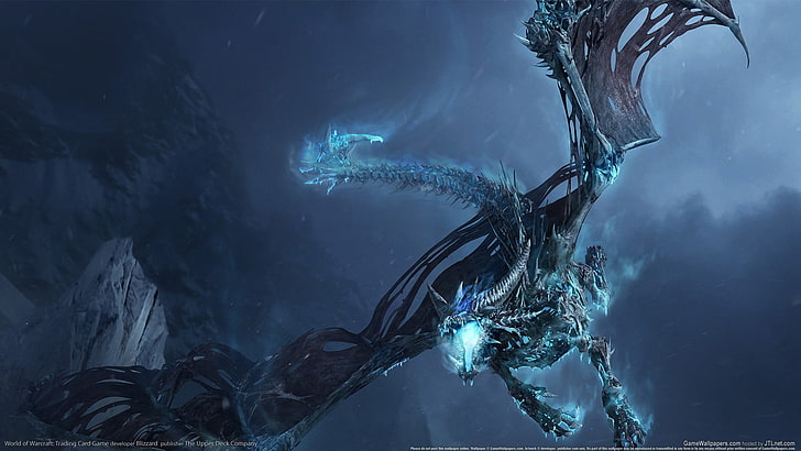 papel de parede digital de dragão preto e azul, Warcraft, World of Warcraft, videogames, HD papel de parede