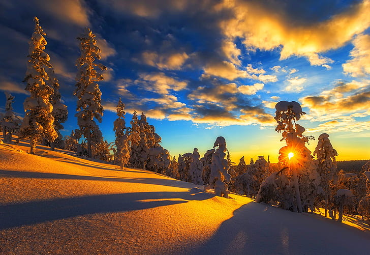 غروب الشمس ، 4K ، الثلوج المغطاة ، الشتاء ، أشجار الصنوبر، خلفية HD