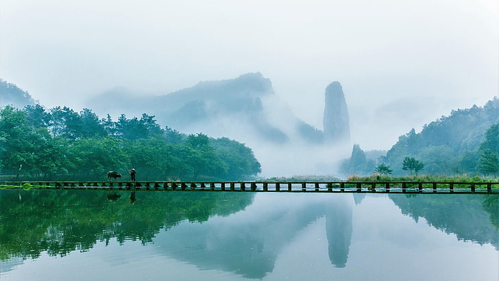 footbridge, jinyun, lishui, zhejiang, china, mountain, misty, mist, reflection, HD wallpaper