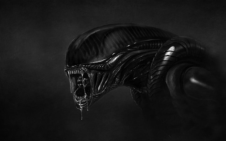 Alien Xenomorph tapeta, ciemne tło, potwór, inni, obcy, obcy, ślinienie, Tapety HD
