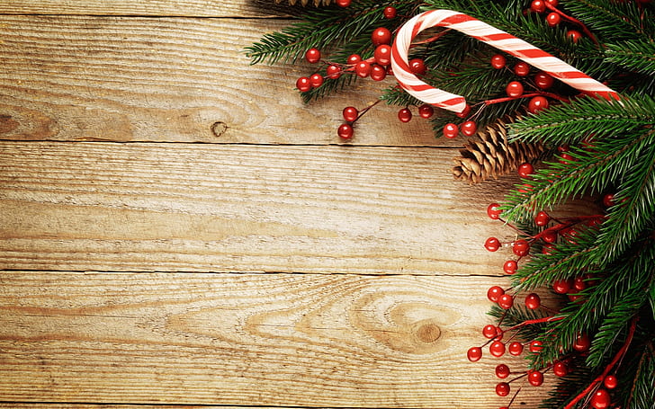 コーン、松、コーン、2014年のクリスマス、クリスマス2014、クリスマスの装飾、クリスマスの飾りと松の小枝、 HDデスクトップの壁紙