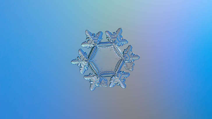 gray 6-lobed snow flake, sunflower, sunflower, Sunflower, snowflake, explore, gray, lobed, snow flake, widescreen, ultra  hd, 1080p, 720p, 4k, high  definition, resolution, snow  crystal, crystal  symmetry, outdoor, winter, cold, frost, natural, ice, macro, transparent, hexagon, magnified, closeup, details, shape, christmas  season, снежинка, fine, elegant, ornate, beauty, beautiful, north, decor, isolated, clear, unique, decorated, blue, gradient, smooth, light, lighting, bright, structure, DOF, decoration, backgrounds, HD wallpaper