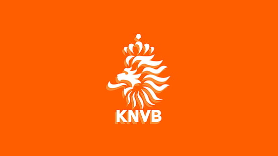 Futebol, seleção nacional de futebol da Holanda, Holanda, HD papel de parede HD wallpaper