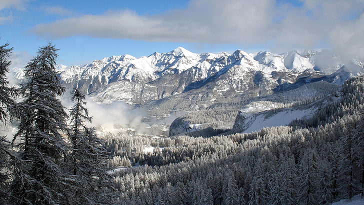 Schnee, Berge, Wald, Landschaft, Natur, Kiefern, Tannenzapfen, Winter, HD-Hintergrundbild