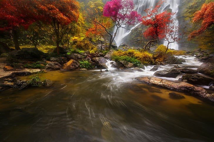 Waterfall river  HD, body of water and trees painting, rock, waterfall, forest, river, rocks, trees, Autumn, HD wallpaper