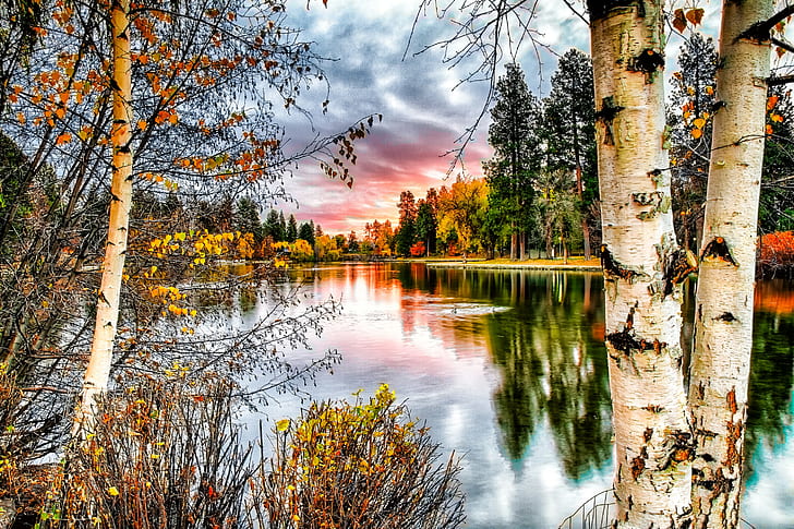 Autumn landscape trees, Autumn, landscape, river, tree, trunk, trees, birch, Nature, photo, HD wallpaper