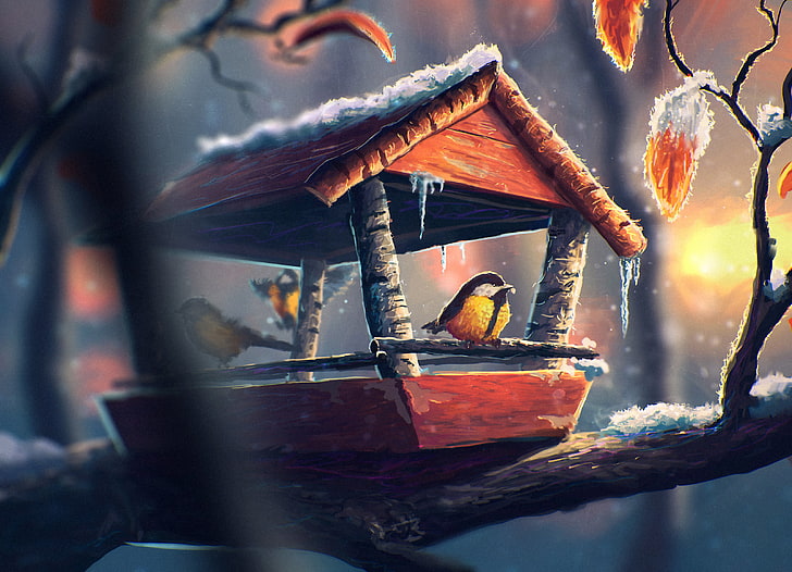 Eastern Yellow Robin ในภาพวาดบ้านนก, เย็น, น้ำแข็ง, หิมะ, นก, ศิลปะ, หัวนม, เครื่องป้อน, วอลล์เปเปอร์ HD