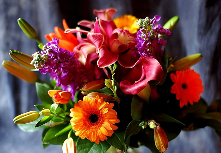 Gerbera, Calla lilies, Lily, Flowers, Bouquet, Decoration, Close-up, HD wallpaper