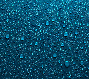 bolle d'acqua, natura, Sfondo HD HD wallpaper