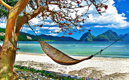 Playa de hamacas, playa, naturaleza, hamaca, Fondo de pantalla HD HD wallpaper
