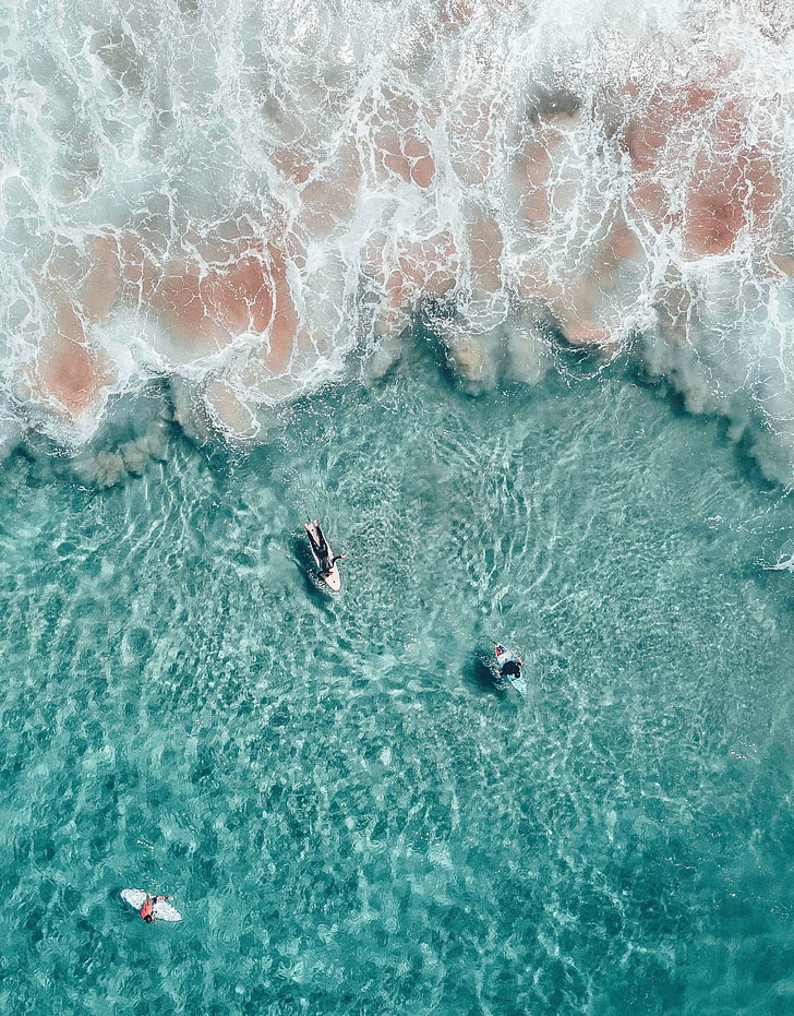 three white surfboards, nature, water, beach, HD wallpaper