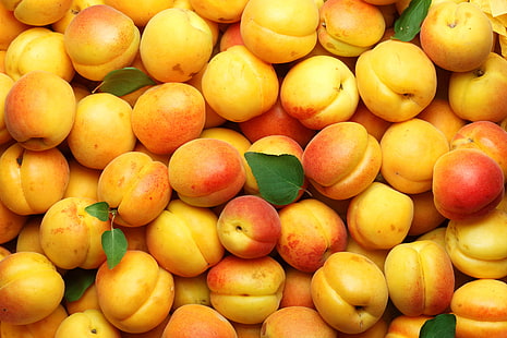 apricot fruit lot, fruit, apricots, apricot, HD wallpaper HD wallpaper