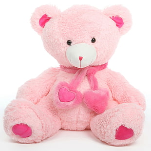 Netter Teddybär, Spielzeug, reizend, Rosa, rosa Bär Plüschtier, netter Teddybär, Spielzeug, reizend, Rosa, HD-Hintergrundbild HD wallpaper