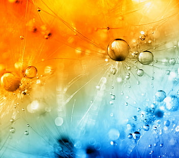 orange und blaue Luftblasen im Makrolinsenfoto, Blasen heiß und kalt, orange und blau, Makrolinse, Foto, HSS, HEISSE KÄLTE, SCHOTTLAND, GELB, WASSER, TROPFEN, LÖWENZAHN, SAMEN, UNKRAUT, KANONE, Tropfen, Natur, abstrakt,makro, hintergründe, nass, nahaufnahme, tau, HD-Hintergrundbild HD wallpaper