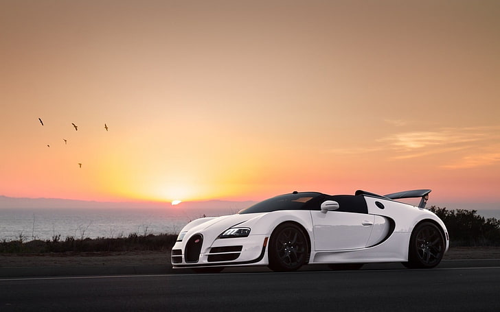 weißes Coupé, Bugatti Veyron Super Sport, weiße Autos, Super Car, Fahrzeug, Vögel, Sonnenlicht, Auto, HD-Hintergrundbild
