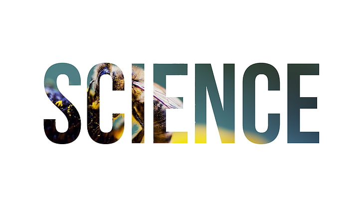 Science text overlay, science, nature, bees, insect, typography, HD wallpaper