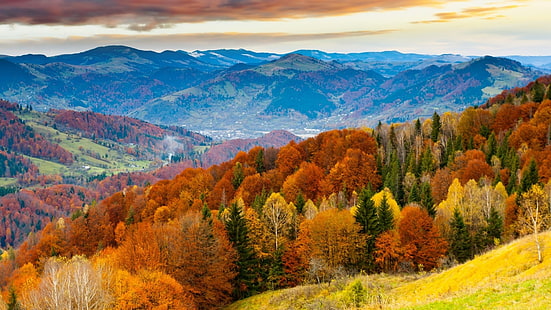 pintura de bosque, naturaleza, paisaje, árboles, bosque, colinas, montañas, cielo, nubes, colorido, otoño, hojas, valle, Fondo de pantalla HD HD wallpaper