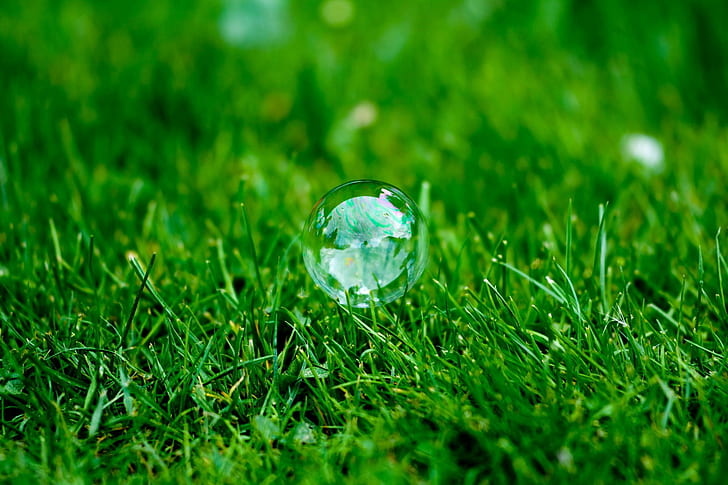 macro lens photo of water drop let on grass, Soap Bubble, macro lens, photo, water drop, grass, soap  bubble, Gras, lawn, herbage, pasture, nature, green Color, environment, sphere, HD wallpaper