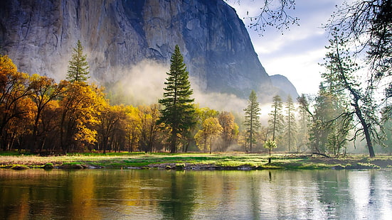 Natura poranna sceneria, las, góry, jezioro, mgła, przyroda, poranek, krajobrazy, las, góry, jezioro, mgła, Tapety HD HD wallpaper