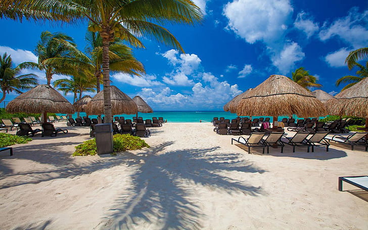 Playa del Carmen es una ciudad ubicada a lo largo del mar Caribe en el  estado de Quintana Roo México Summer Wallpaper Hd 2560 × 1600, Fondo de  pantalla HD | Wallpaperbetter