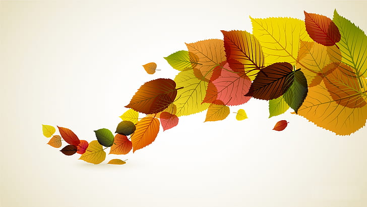 Autumn Leaves, background, leaf, colours, HD wallpaper