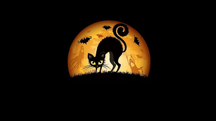 Halloween Kitty (meaww), черная кошка с рисунком в стиле «светлее», черный, котенок, хэллоуин, 1080p, луна, темнота, праздник, 3d и аннотация, HD обои
