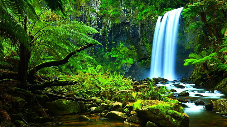 waterfall, hopetoun falls, aire river, australia, victoria, forest, beech forest victoria, HD wallpaper