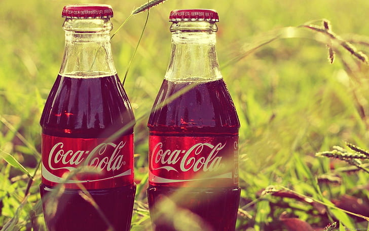 Coca Cola flaskor i gräs, 2 coca cola små flaskor, varumärke, dryck, coca, cola, flaska, gräs, HD tapet