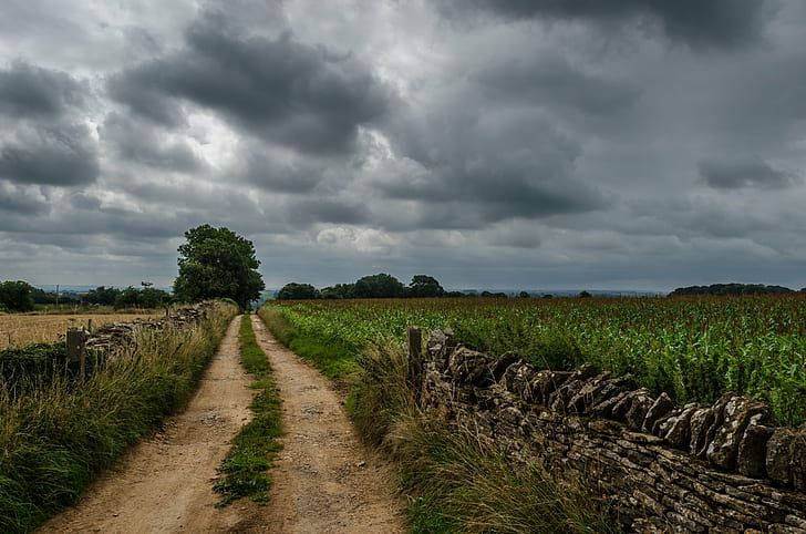 foto av grönt gräsfält med grå molnig himmel, Moln, Horizon, foto, grönt gräs, gräsfält, grå, molnigt, Wotton Under Edge, Gloucestershire, England, spår, storm, landskap, landsbygd, landsbygd, natur, landsbygdsscen, jordbruk , gård, himmel, fält, sommar, utomhus, moln - Sky, HD tapet