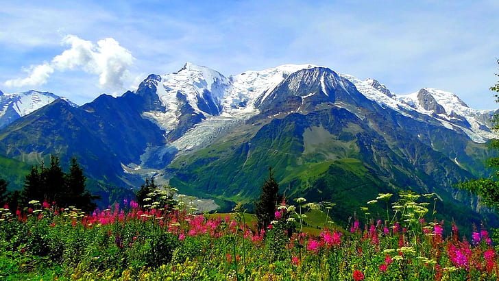Valley Of Flowers National Park Trek In Uttarakhand India Prato Fiori alpini Montagne Con Picchi di neve Paesaggio Hd Sfondi desktop 1920 × 1080, Sfondo HD