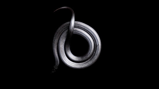 srebrny wąż, wąż, czarny, ciemny, zwierzęta, mamba, Tapety HD HD wallpaper