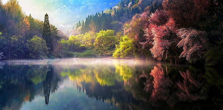 grünblättrige Bäume, Natur, Frühling, Nebel, See, Bäume, Reflexion, Wald, Landschaft, Hügel, Wasser, bunt, Südkorea, HD-Hintergrundbild