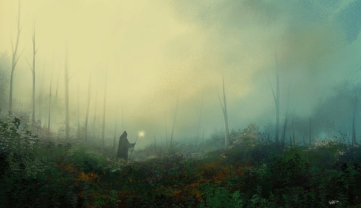 mantle, wanderer, fog, lantern, forest, art, HD wallpaper